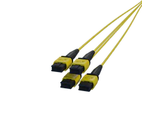 12 fiber MPO-kontakter