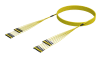 144 Fiber Single Mode MPO(12F) Trunk
