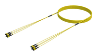 48 fiber single mode MPO(12F) trunk