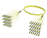 288F MPO Trunk with 12-Fibre Connector