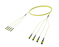 48 fiber single mode MPO(12F) trunk