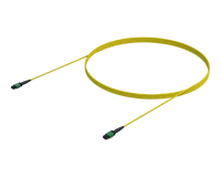Cavo MPO diritto compatibile con NVIDIA (OS2 APC)