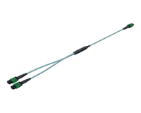 MPO 1:2 splitterkabel (tilsvarende NVIDIA MFP7E20)