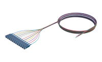 900 µm gepufferter Singlemode-LWL-Pigtail, SC/UPC, farbig, 12er-Pack