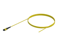 MPO to Bare Fibre Pigtail, 12 Fibre, 3mm Jacket
