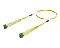 SC/APC Mikrokabelsamling, 12-fiber, Single-mode G.657.A1