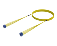SC/UPC-SC/UPC Pre-Terminated Fibre Cable Assembly, Single-mode G.657.A1, 12 Fibres