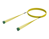SC/APC-SC/APC Pre-Terminated Fibre Cable Assembly, Single-mode G.657.A1, 12 Fibres