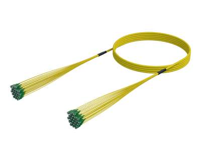 Vorkonfektionierte optische Faserbaugruppe, SCA-SCA