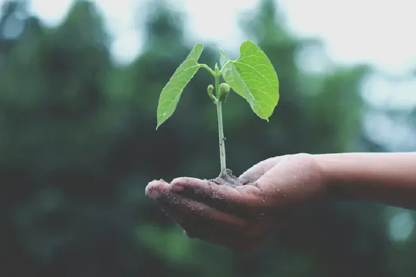 Environmental Stewardship