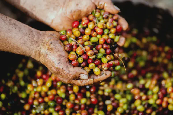 Business Ethics & Governance